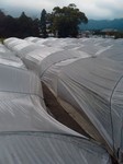 IMAG0104.jpg
