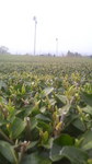 2009031115320000.jpg
